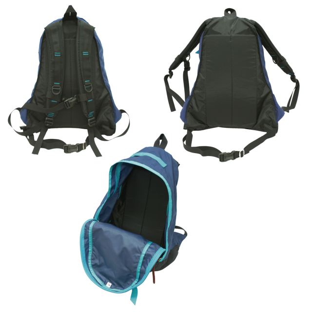 GREGORY DAY PACK